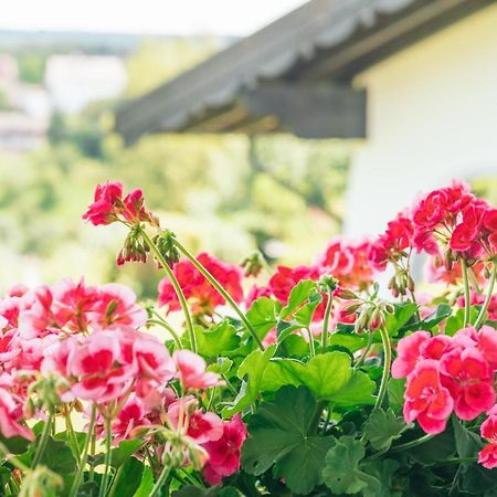 Landgasthaus Sonne Freudenstadt Luaran gambar