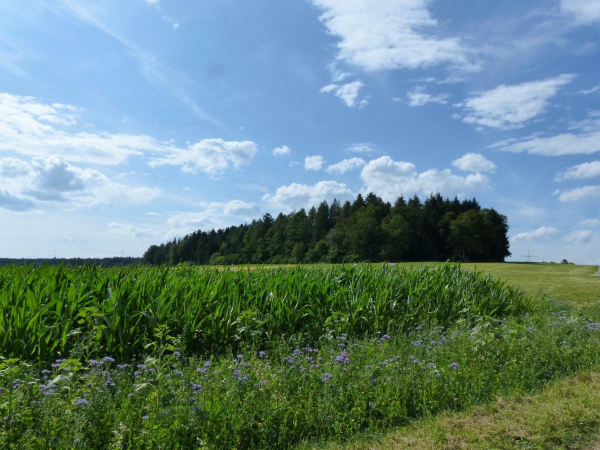 Landgasthaus Sonne Freudenstadt Luaran gambar